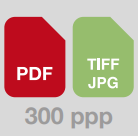 PDF Icon